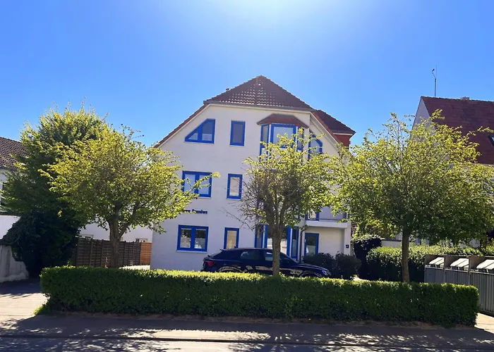 Seemöwe 2